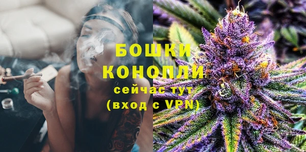Альфа ПВП Гатчина