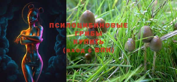 не бодяженный Алексеевка