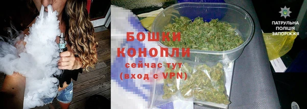 молекула духа Гвардейск