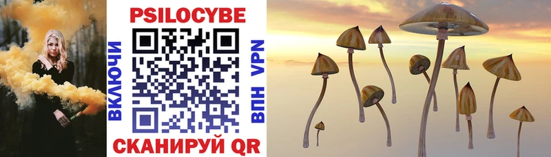 omg ссылка  Пикалёво  Галлюциногенные грибы Psilocybe  сколько стоит 